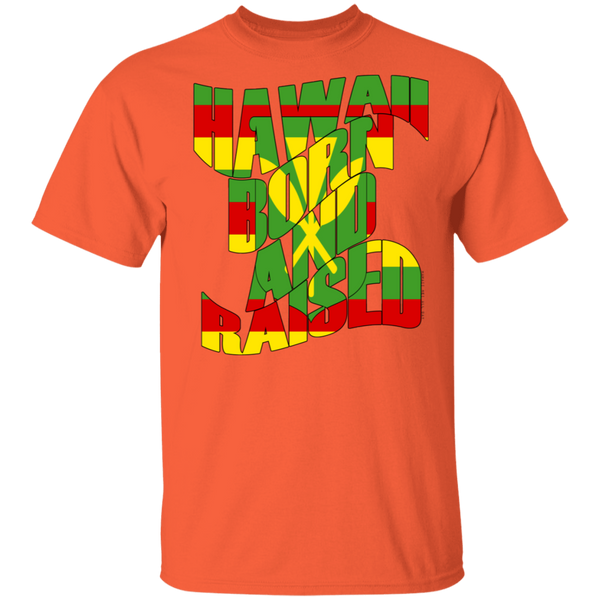 Hawaii Born and Raised Kanaka Maoli T-Shirt, T-Shirts, Hawaii Nei All Day