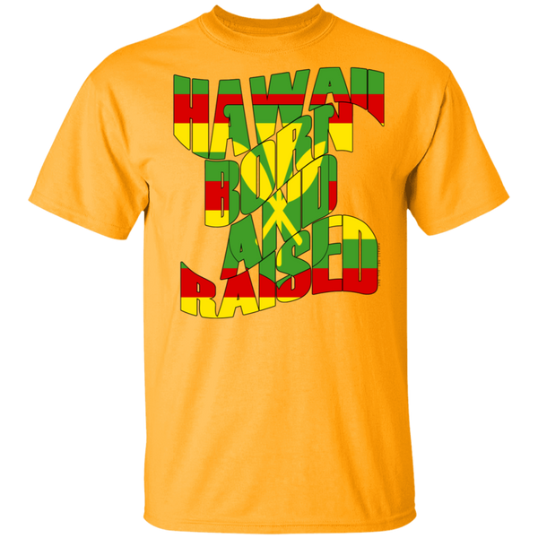 Hawaii Born and Raised Kanaka Maoli T-Shirt, T-Shirts, Hawaii Nei All Day